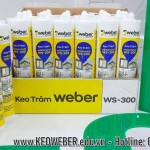 Keo Silicone Weber WS-300
