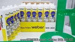 Keo Silicone Weber WS-300
