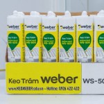 Keo Silicone Weber WS-500