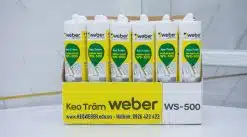 Keo Silicone Weber WS-500